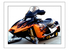 Snowmobile Flame with Bee